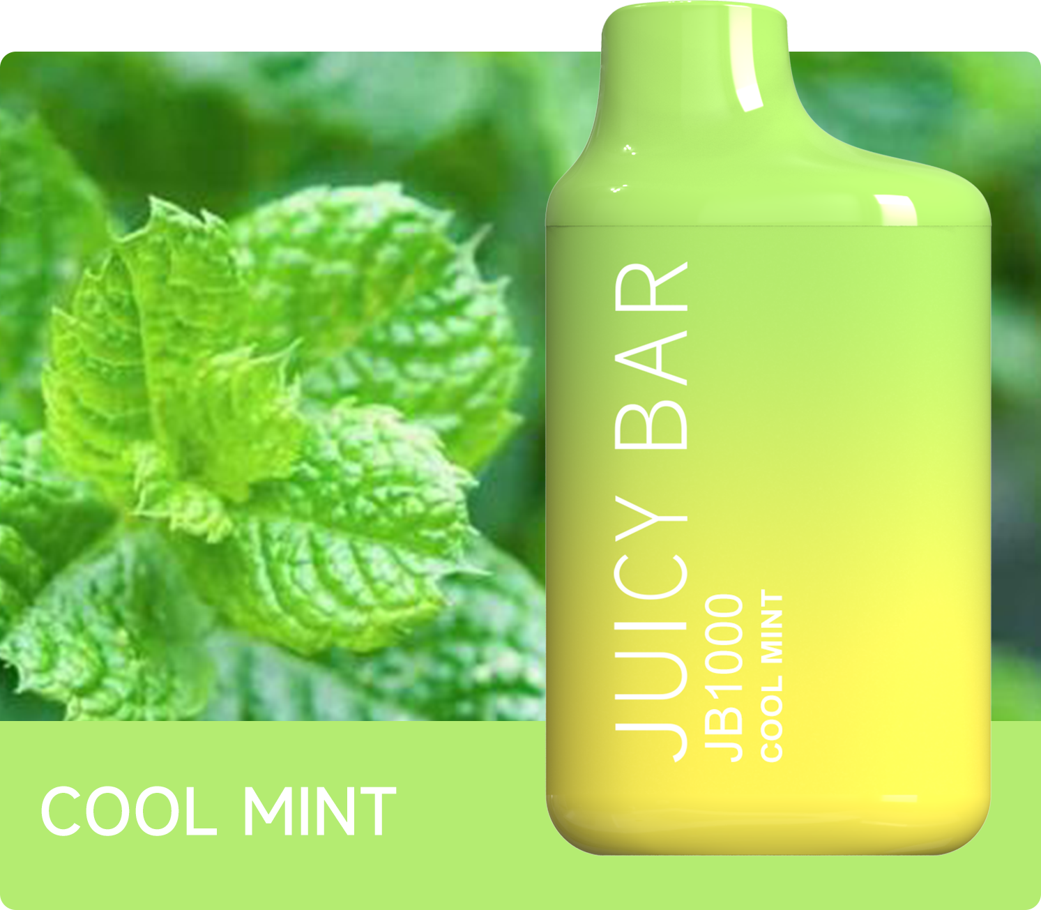Juicy Bar JB1000 - Cool Mint