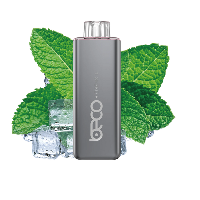 Beco Slim - Fresh Mint