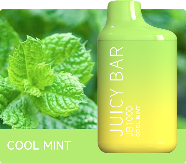 Juicy Bar JB1000 - Cool Mint