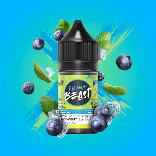 Flavour Beast Salts - Blessed Blueberry Mint Iced
